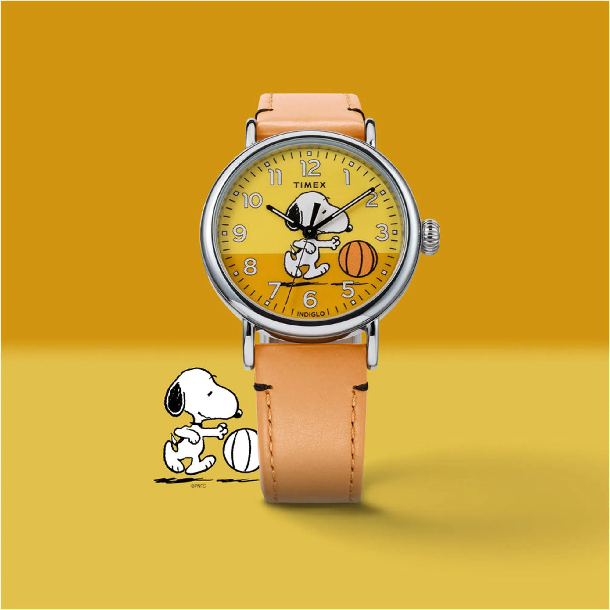 TW2W51900
